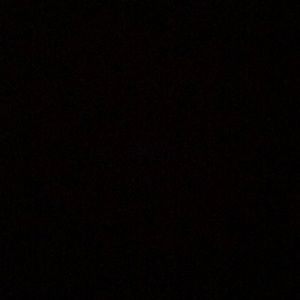 Meet your Posher, Layla